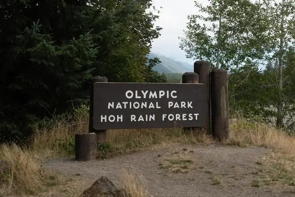 Practical steps towards self-acceptance Practical steps towards self-acceptance