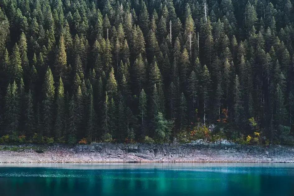 Common myths about manifestation