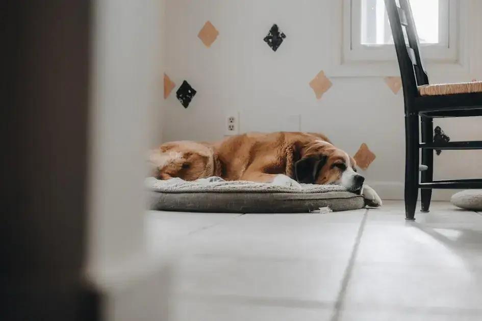 Real-life stories of manifestation success