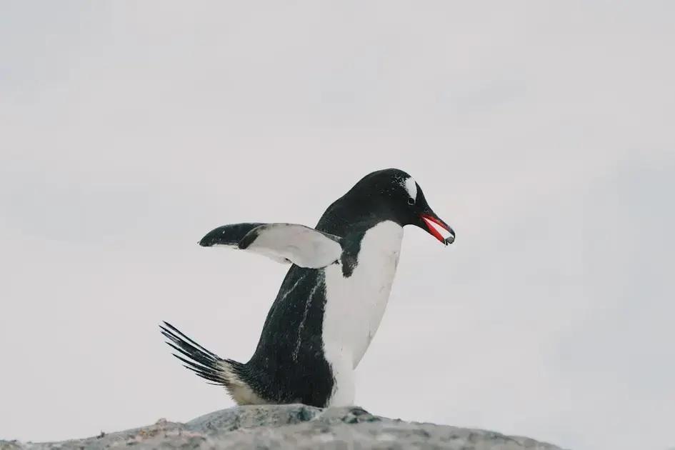 Identifying Signs of Fear in Your Life