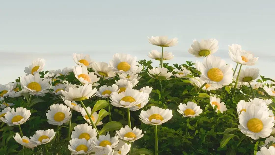 Techniques for inner shifts Techniques for inner shifts