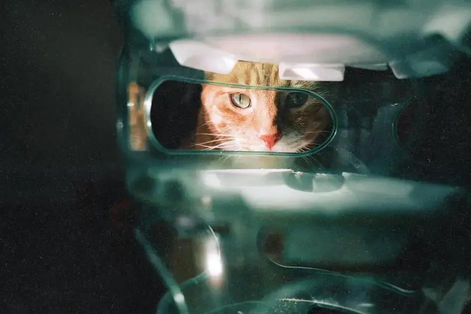 Common misconceptions about manifestation Common misconceptions about manifestation