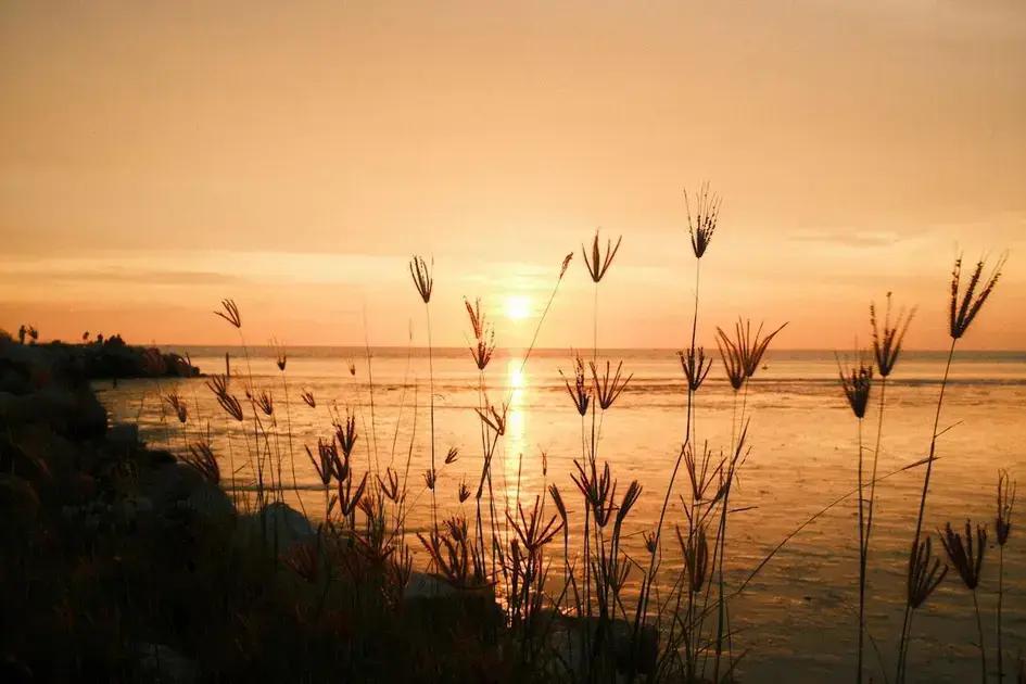 Law of Assumption: 10 Techniques to Manifest Your Desires