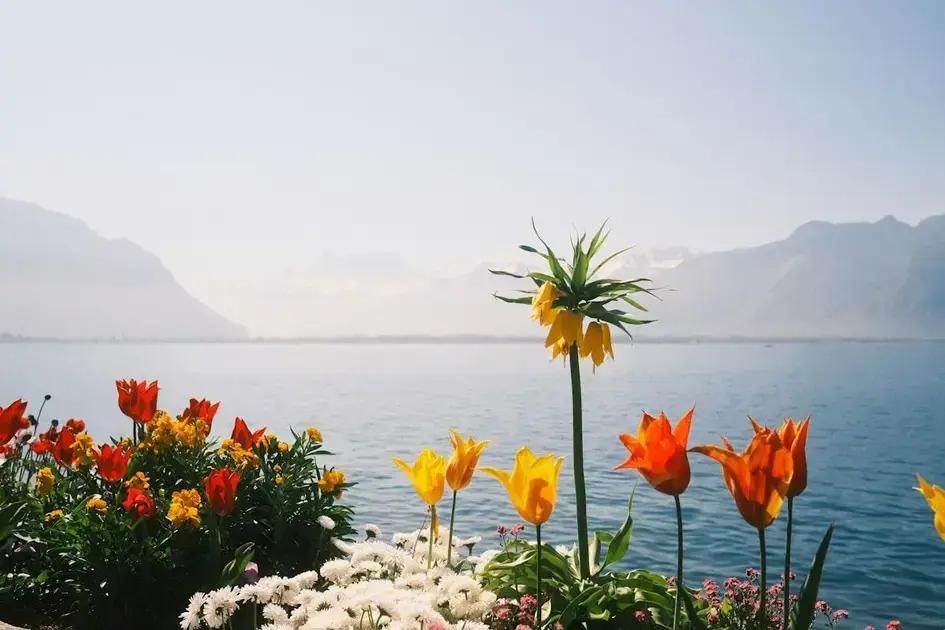 Law of Assumption: The Secret to Speeding Up Your Manifestations