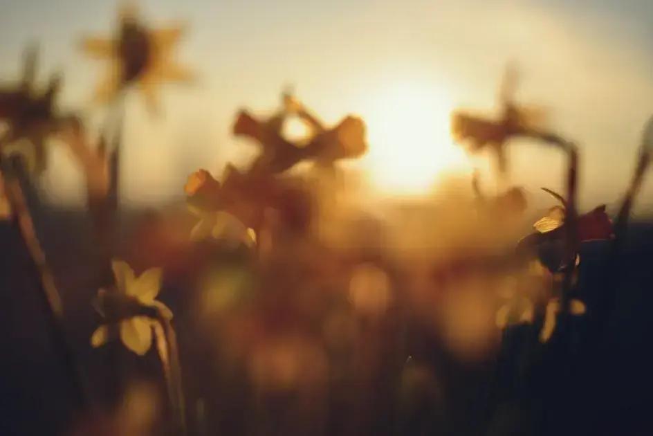 Law of Attraction Physics: How Your Thoughts Shape Reality