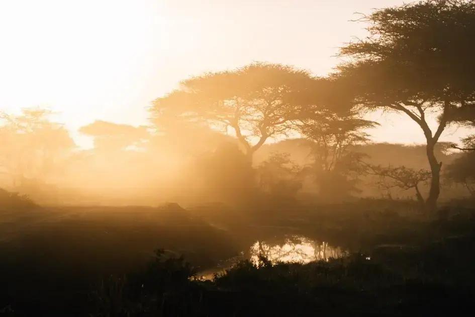 Living in the End: Unlock Your Manifestation Power with Neville Goddard