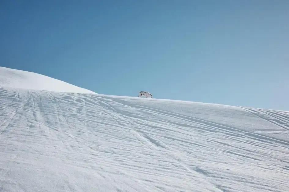 Manifestation: Discover the Signs Your Desires Are Coming True