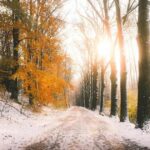 Neville Goddard’s 12 Mental Disciplines: Keys to Effortless Manifestation