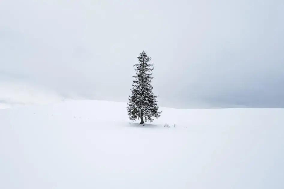 Neville Goddard’s congratulations technique: the key to manifesting properly