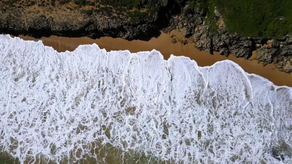 Spring affirmations: how to embrace change and transform your life