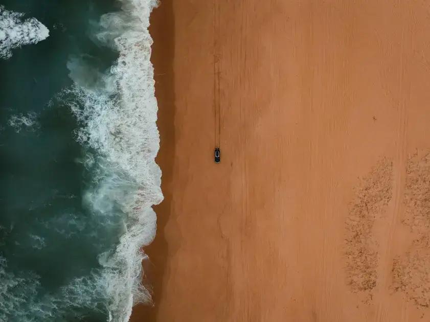 Fear: Why it Holds You Back and How to Break Free