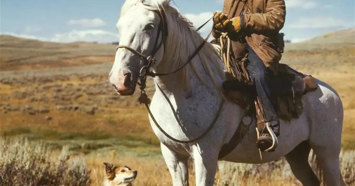 laws of universe: how understanding them can transform your life