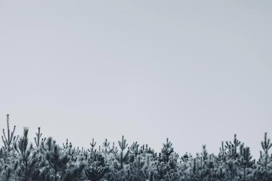 Vision board: Your key to manifesting dreams effectively