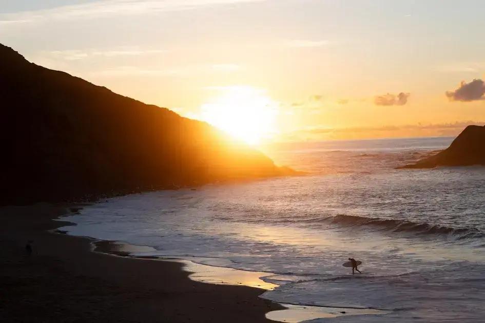 Manifestation Techniques: 7 Expert Methods to Transform Your Life