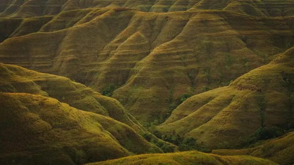 empath: 13 signs you might be one and how to embrace it