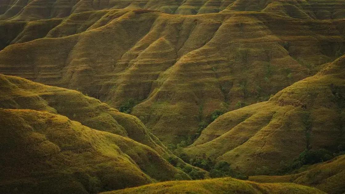 empath: 13 signs you might be one and how to embrace it