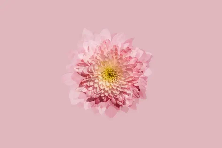 Manifestation: Unlock the Secrets to Create Your Dream Life