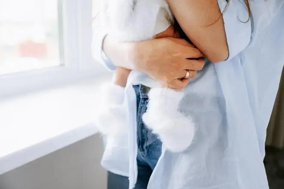 Manifestation: Your Guide to Transforming Dreams into Reality