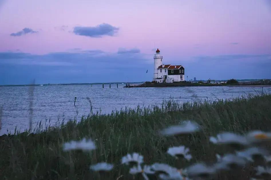 Productivity stats: Unlocking your potential through employee engagement