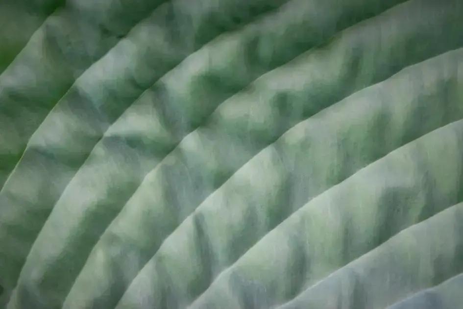 Purpose driven business: Discover how to thrive while making an impact