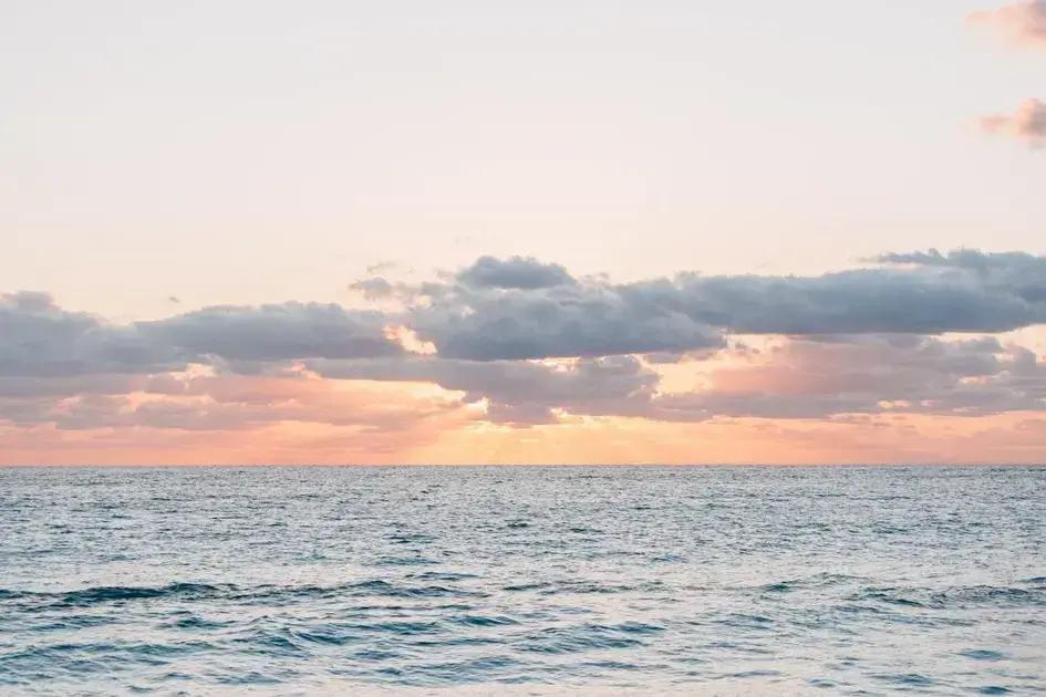 Napoleon Hill's Success Quotes That Ignite Your Motivation