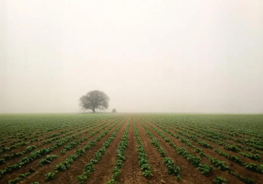 NLP Techniques: Unlock Your Potential for Personal Growth and Success