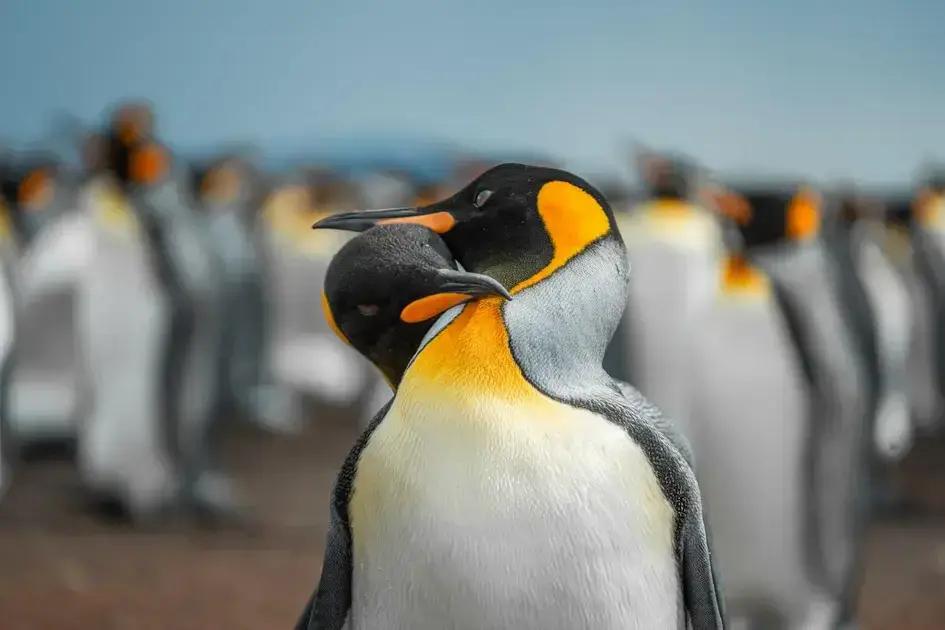 Paradigm shift: how changing your mindset can transform your life