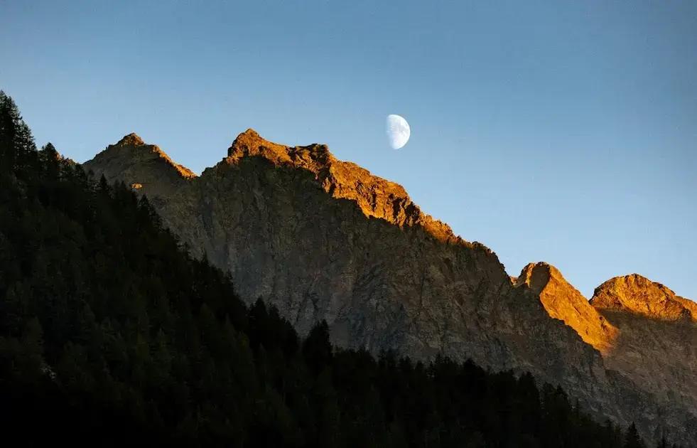 Law of Attraction for Money: Discover How to Attract Wealth Easily