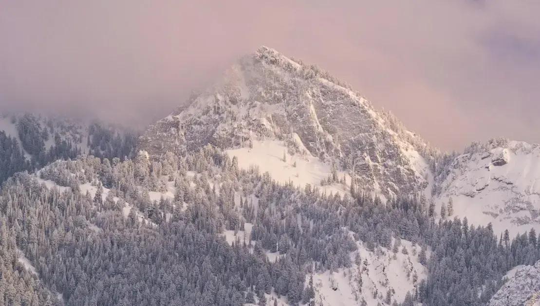 Negative mindset: how to transform your thoughts and thrive