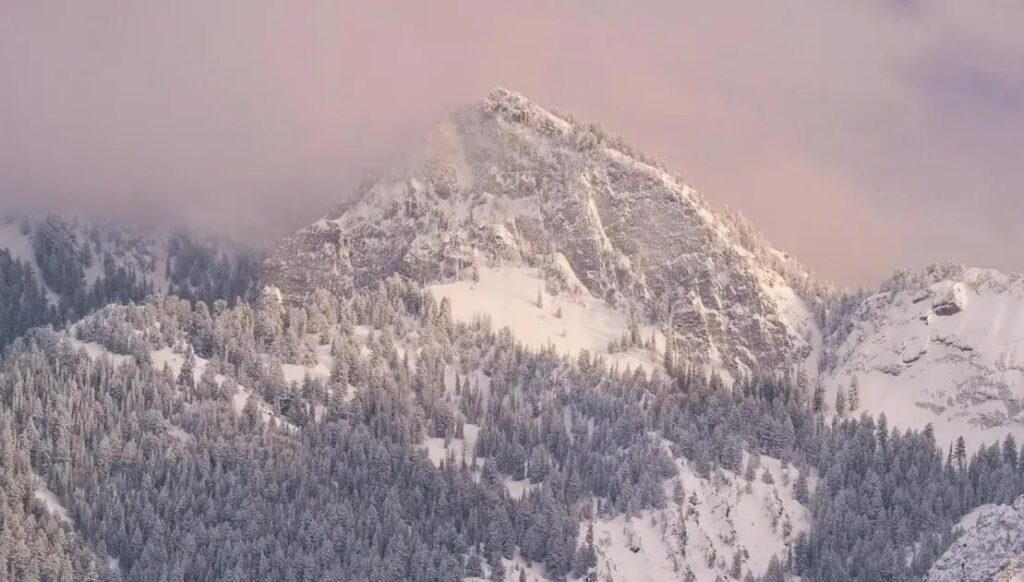 positive intentions: how to transform your life through daily rituals