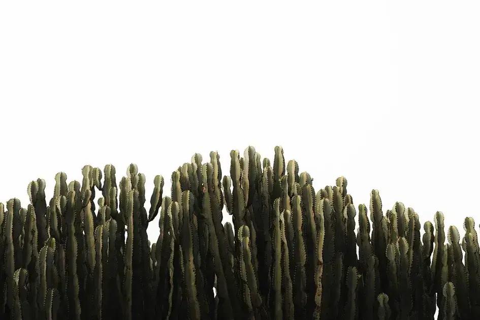 Specific person trap: Break free and manifest your desires