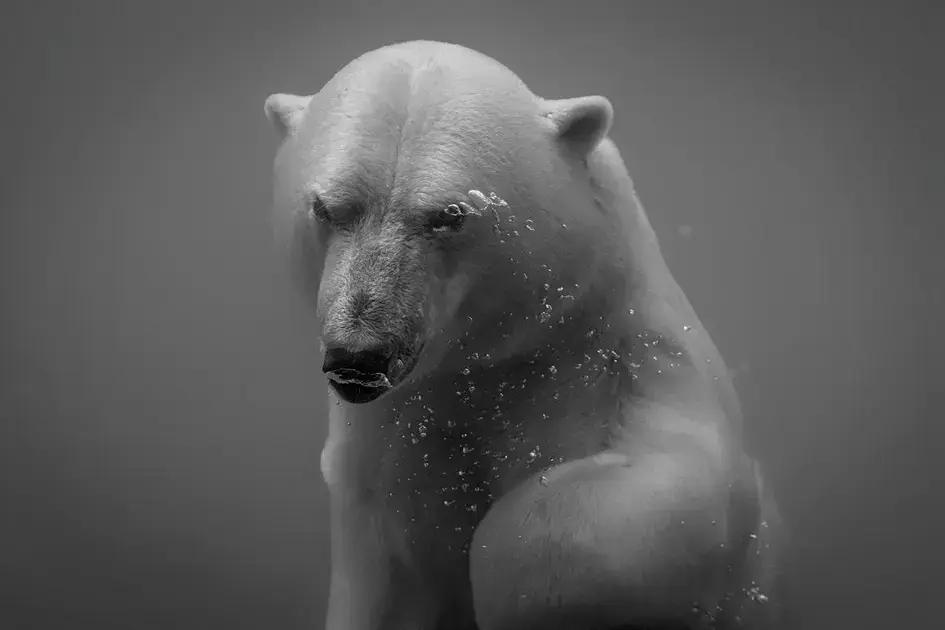 Positive thinking: 7 practical strategies to transform your mindset and life