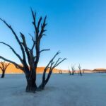 Manifestation rituals: How self-care can transform your intentions