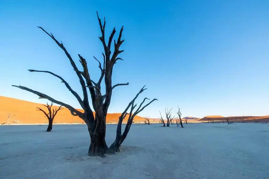 Manifestation rituals: How self-care can transform your intentions