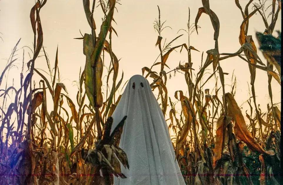 Sustainable farming: how to grow your crops responsibly