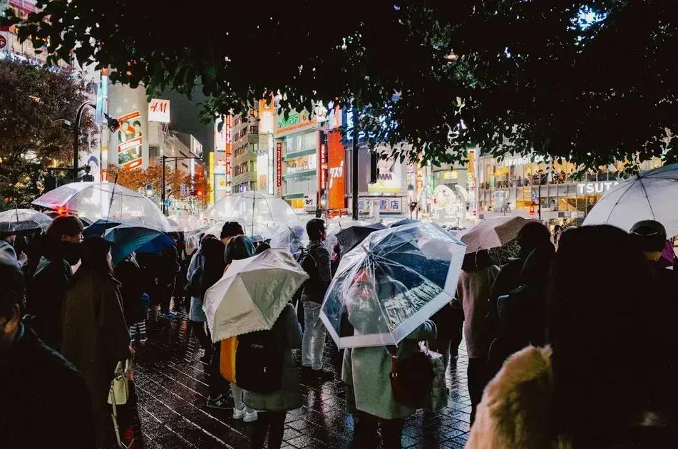 Key sustainable techniques for crop growth