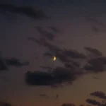 Bloodstone: The Grounding Stone for Courage and Energy Protection