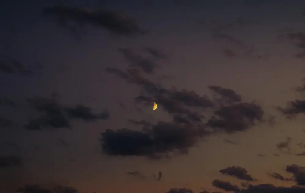 Bloodstone: The Grounding Stone for Courage and Energy Protection