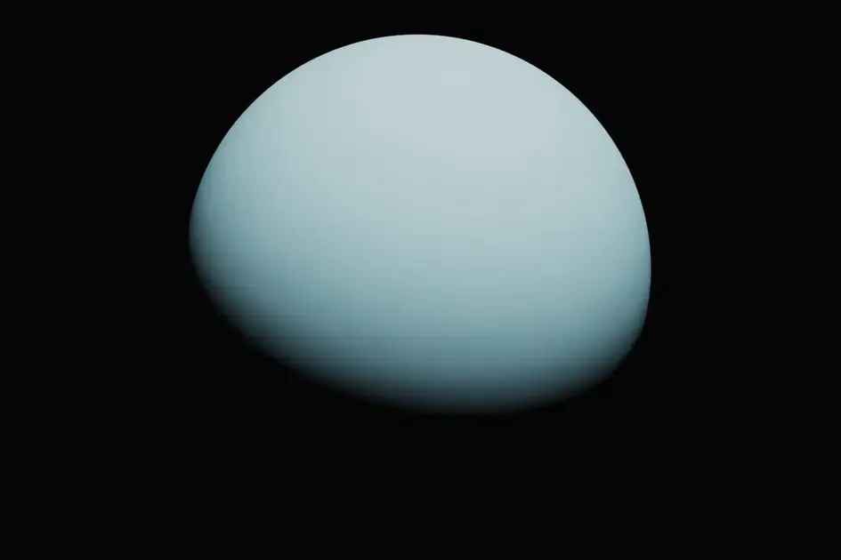 Dalmatian Jasper: Unlocking Joy and Playfulness in Your Life