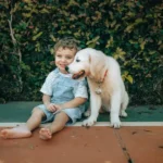 Agate: Discover the Healing Properties and Rituals to Transform Your Life