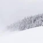 manifestation made easy: how neuroscience can transform your goals