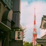 Tree agate: a simple guide to connect with nature's energy