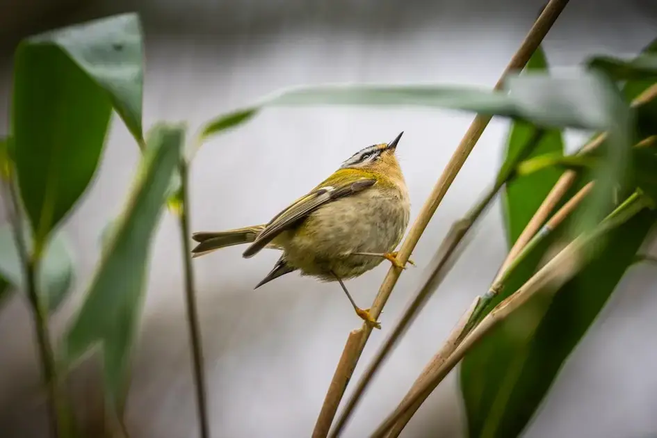 Unlocking the 2/2 Portal: A Guide to Balance and Manifestation