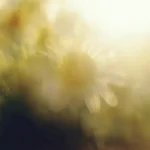 Kundalini awakening: Discover the powerful signs and what to do next