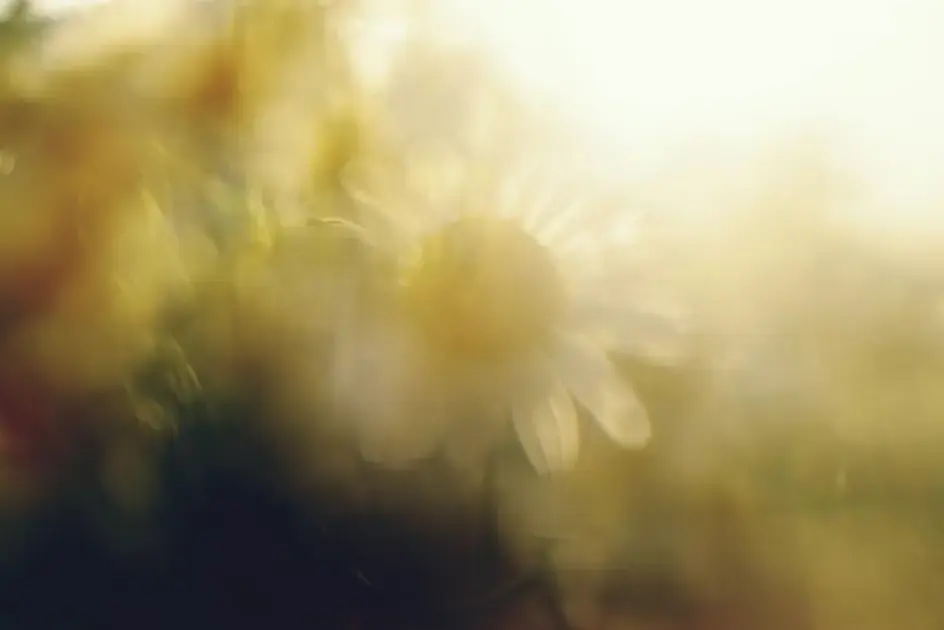 Kundalini awakening: Discover the powerful signs and what to do next