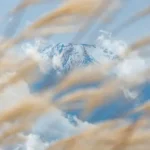 Angel number 711: The spiritual sign you can't ignore