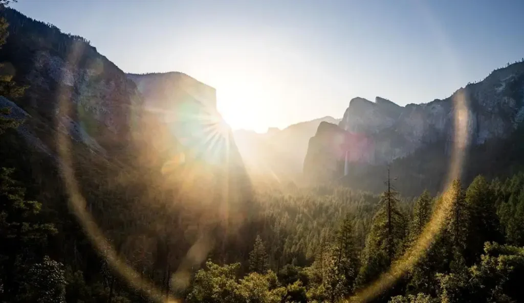 Meditation: Unlocking the Power of Your Mind for Inner Peace and Growth
